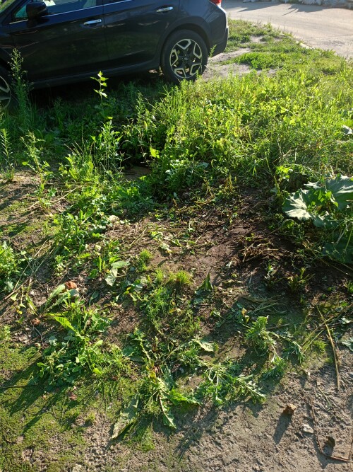 IMG20250725174911.jpg