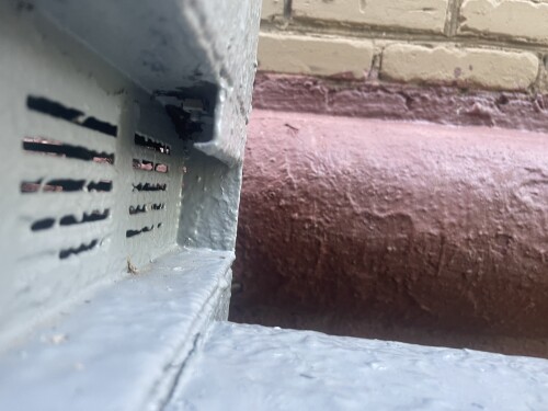 IMG_0379.jpeg