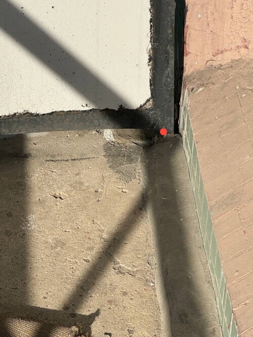 IMG_0801.jpeg