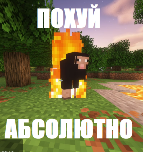 sheep.png