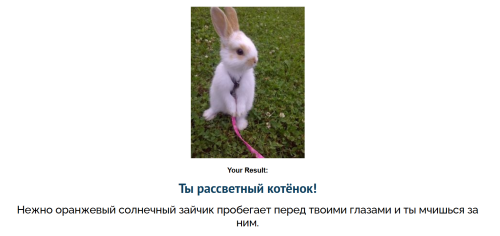 RASSVETNYI_KOT.png