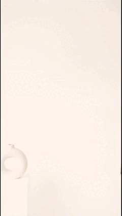 videoplayback.gif