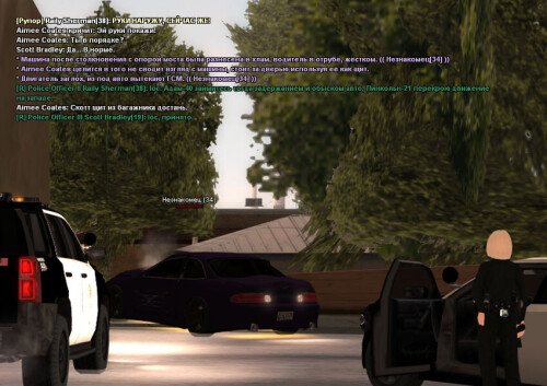 ss2.jpg