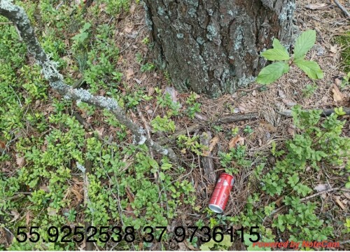 IMG_2082.jpeg