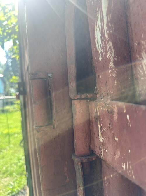 IMG_5978.jpeg