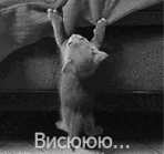 2838730771.gif