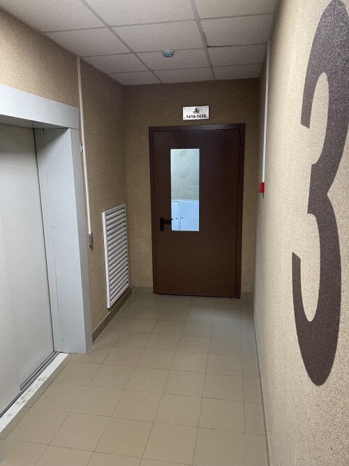IMG_3424.jpeg