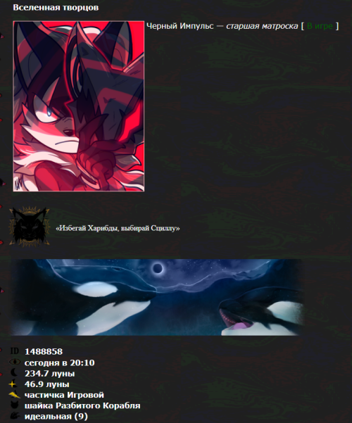 SNIMOK2.png