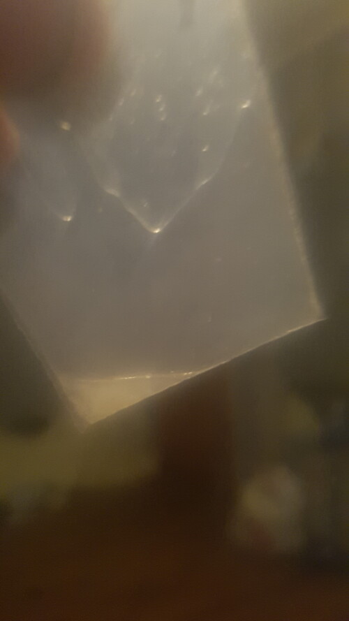 20250801_054048.jpg