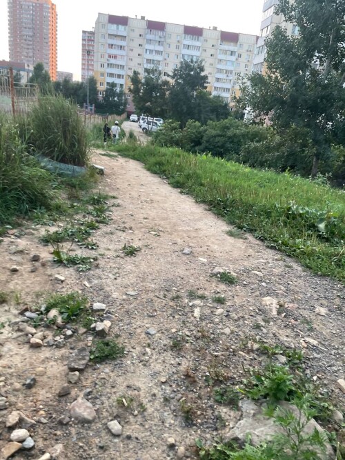IMG_0159.jpeg