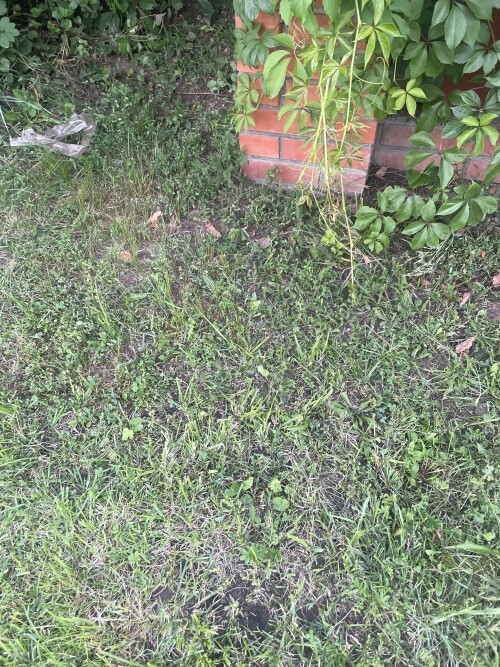 IMG_7062.jpeg