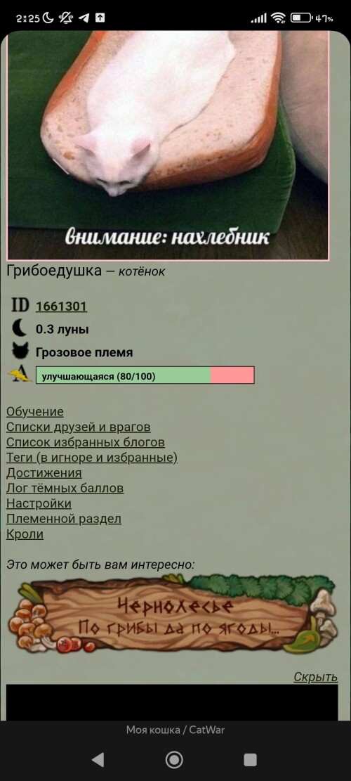 Screenshot_2025-08-04-02-25-57-176_com.yandex.browser.jpg