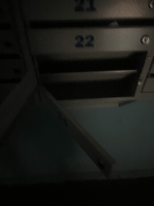 IMG_4088.jpeg