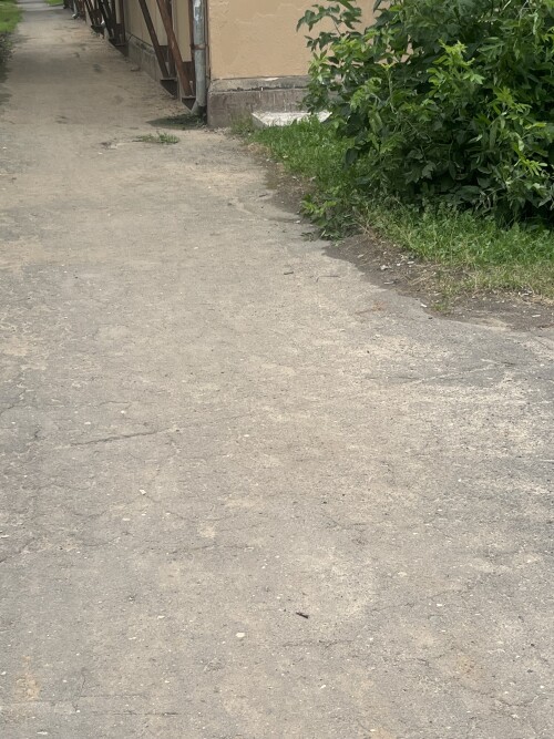 IMG_4129.jpeg