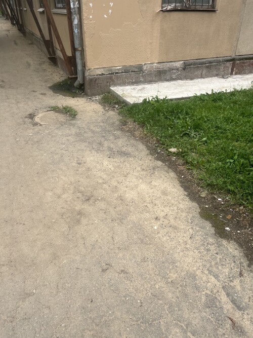 IMG_4131.jpeg