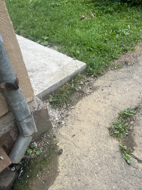 IMG_4132.jpeg