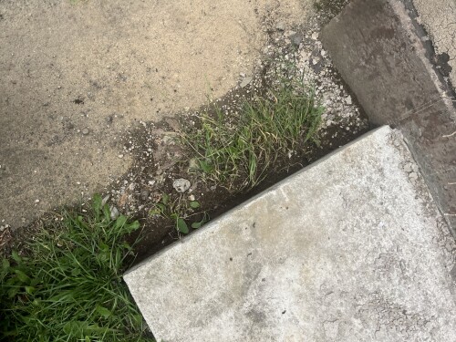 IMG_4134.jpeg